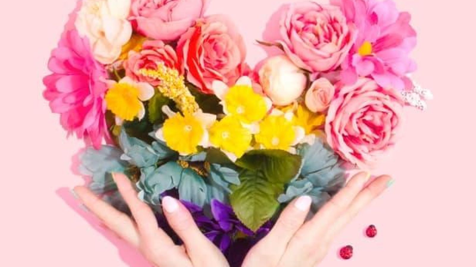 Two hands holding bright coloured flowers