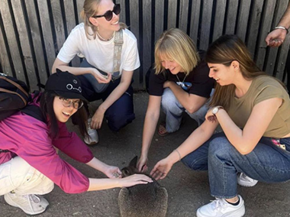 PI March 2025 SQUARE1