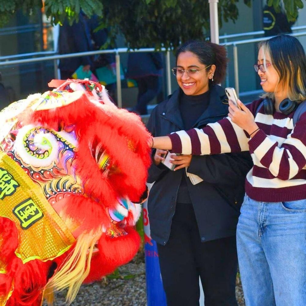 Feastival Chinese New Year