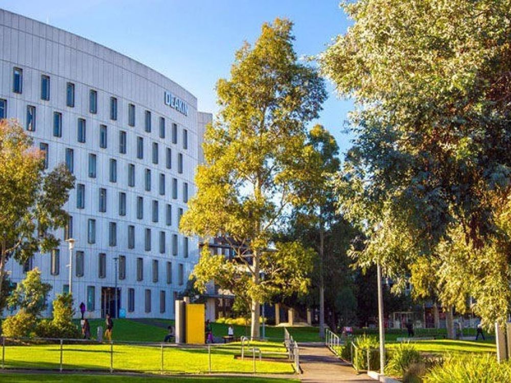 University building surrounded by green grass and trees