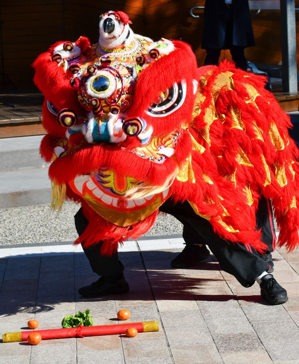 Chinese new year copy2