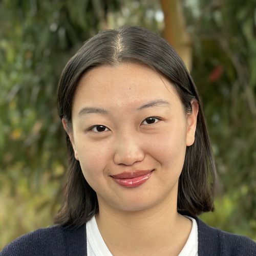 Yiwei Cheng's profile picture